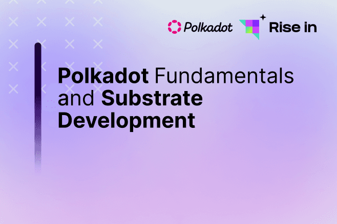 Learn everything about Polkadot